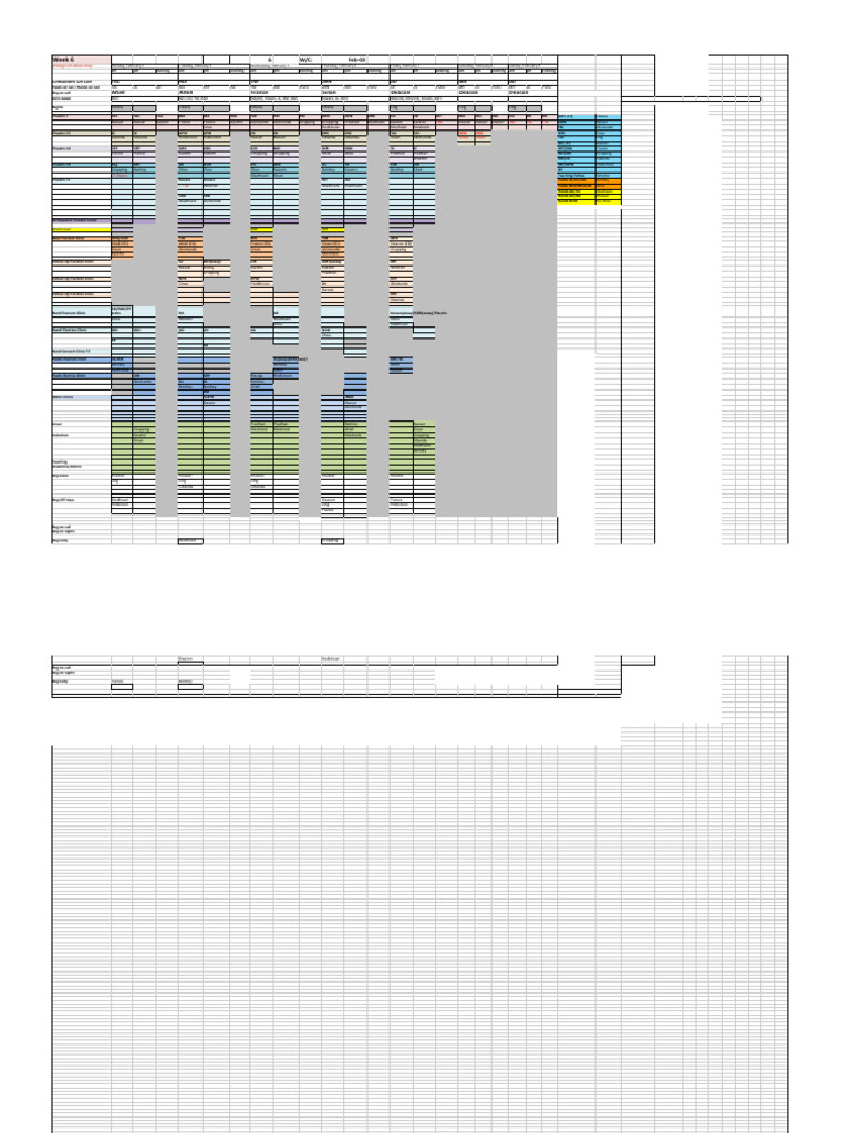 T&O Weekly Allocations | PDF