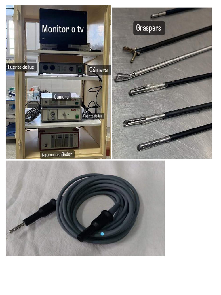 Aaa Color Simple | PDF