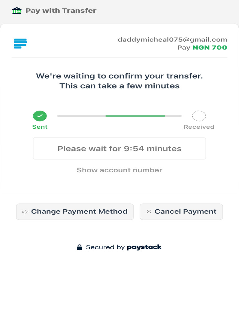 Payment Confirmation in Progress | PDF