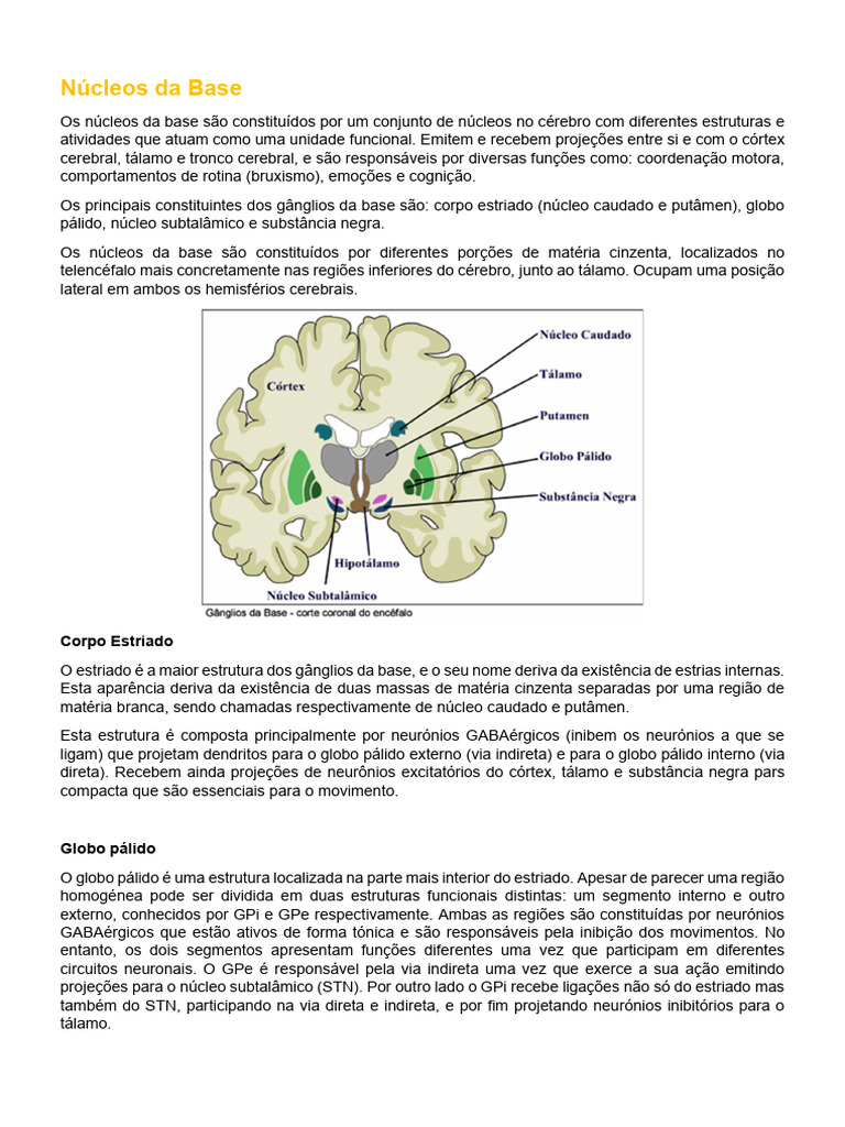 Núcleos da Base | PDF | Gânglios basais | Sistema nervoso
