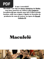 Origem e Prática do Maculelê | PDF