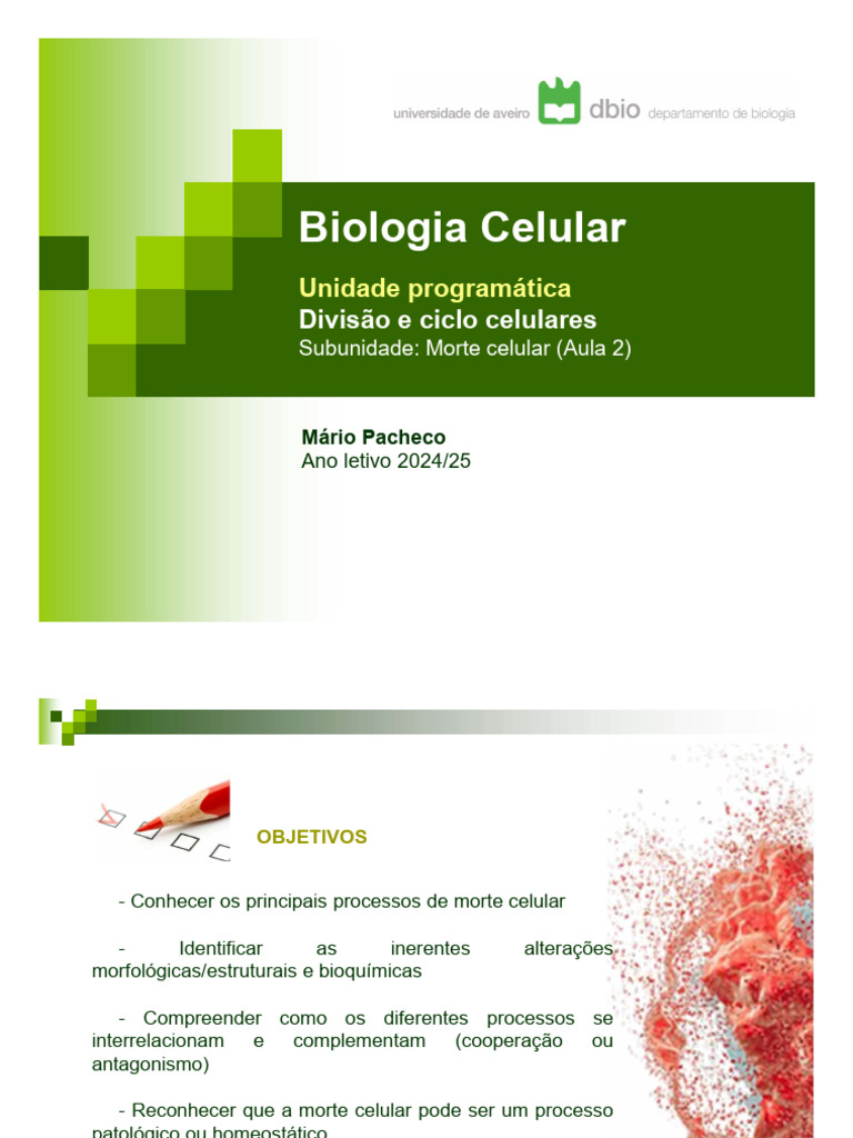 Morte Celular: Tipos e Processos Essenciais | PDF | Apoptose | Autofagia