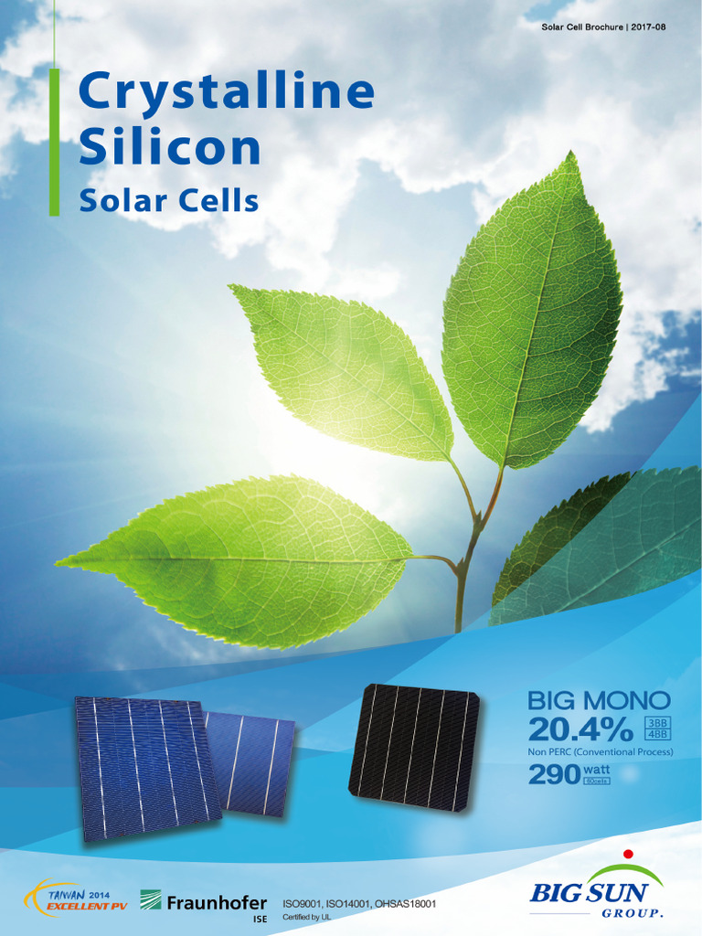 Cell Brochure | PDF