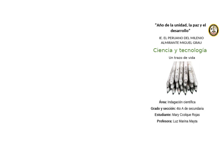 Cyt Pipipi | PDF