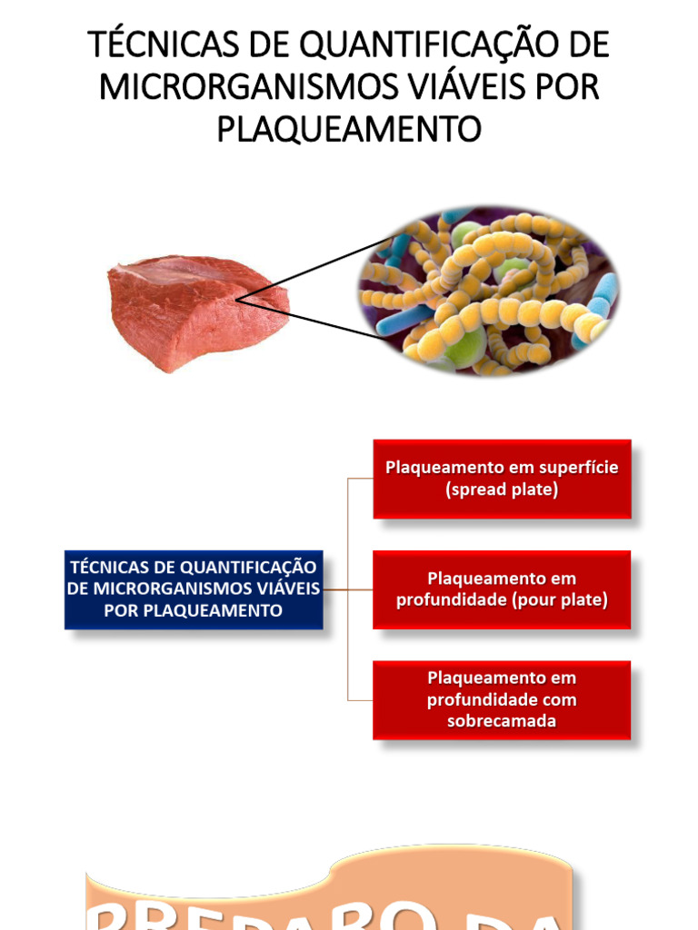 Homogeneização e Diluição de Amostra | PDF