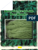 Bora Cultivation and Post Harvest