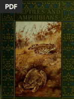 Download British Reptiles and Amphibians by Krister Lfgren SN83233280 doc pdf