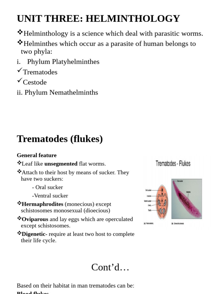 Helminthology: Parasitic Worms Overview | PDF | Parasitology | Medical ...
