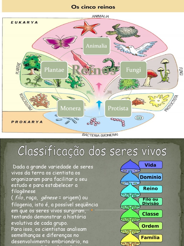 Os 5 Reinos Da Biologia | PDF | Casa e Jardim | Bem-estar
