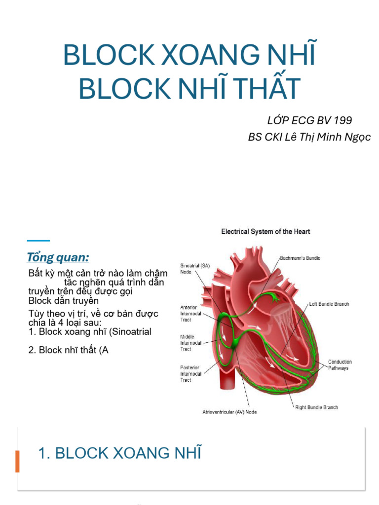 Block SA - Block AV | PDF