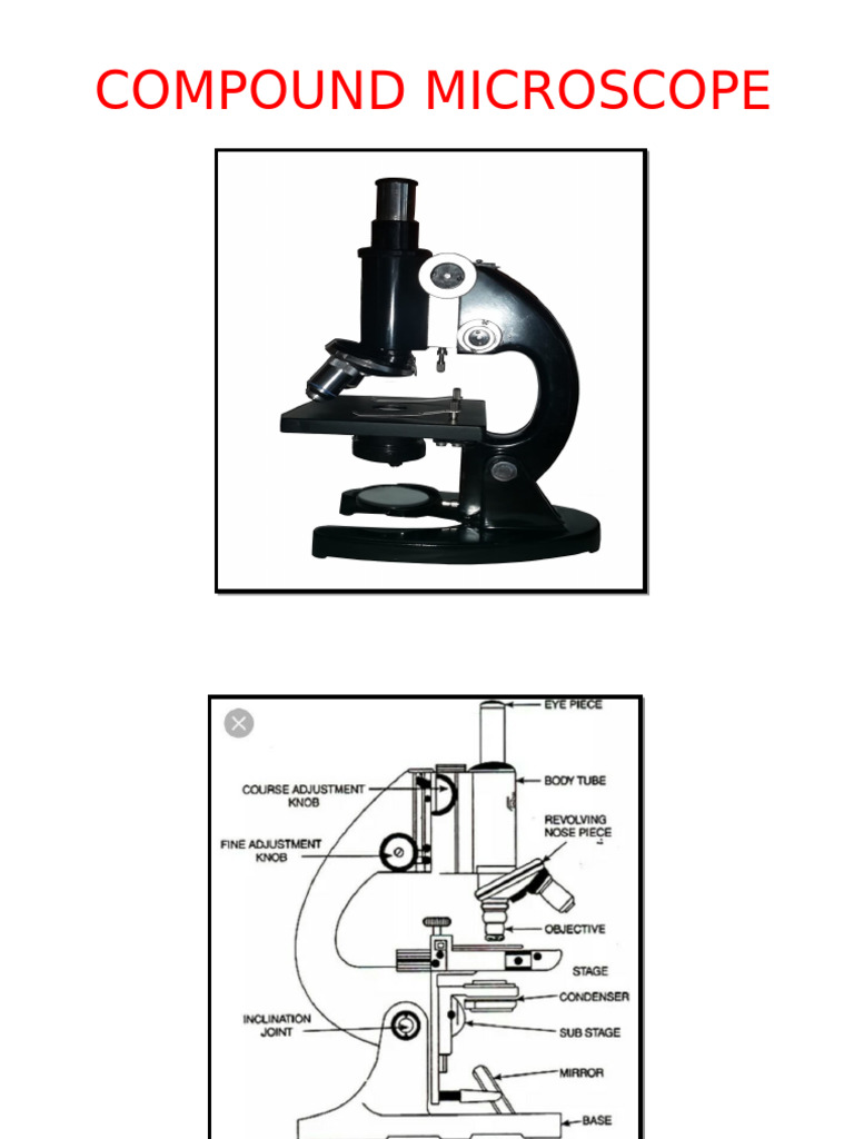 Compound Microscope Guide | PDF | Microscope | Laboratory Equipment