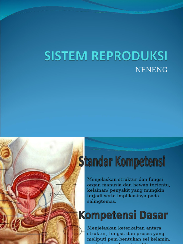 Reproduction System2 | PDF