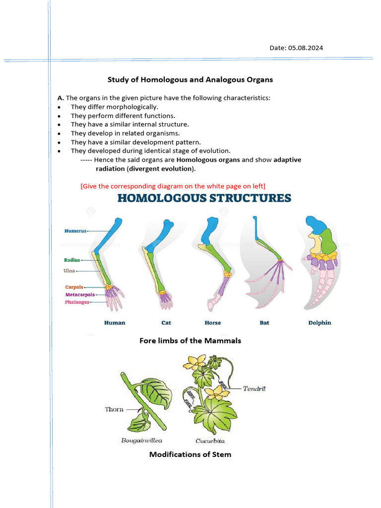 Homologous vs Analogous Organs Explained | PDF