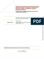 Anaerobic Growth On Arginine: Evidence For A Pseudomonas Aeruginosa Mutants Affected in