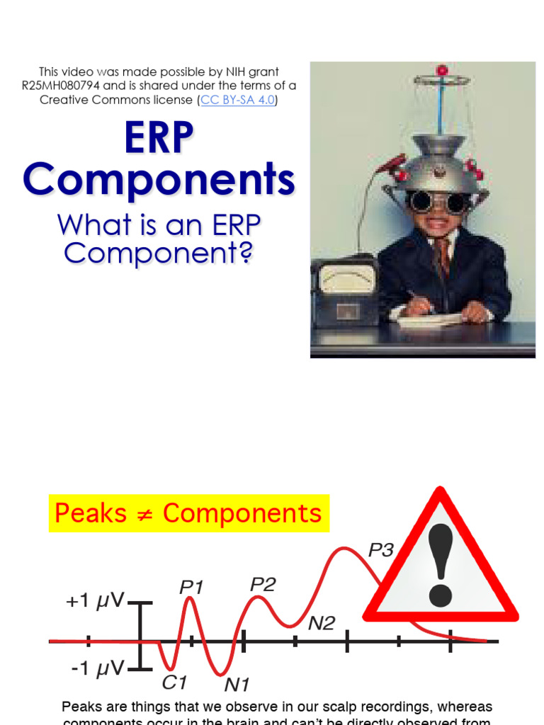 Chapter+3+Lecture+Notes | PDF | Neuroimaging | Cognitive Psychology