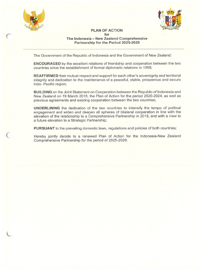 NZ IDN Plan of Action 2025 2029 | PDF