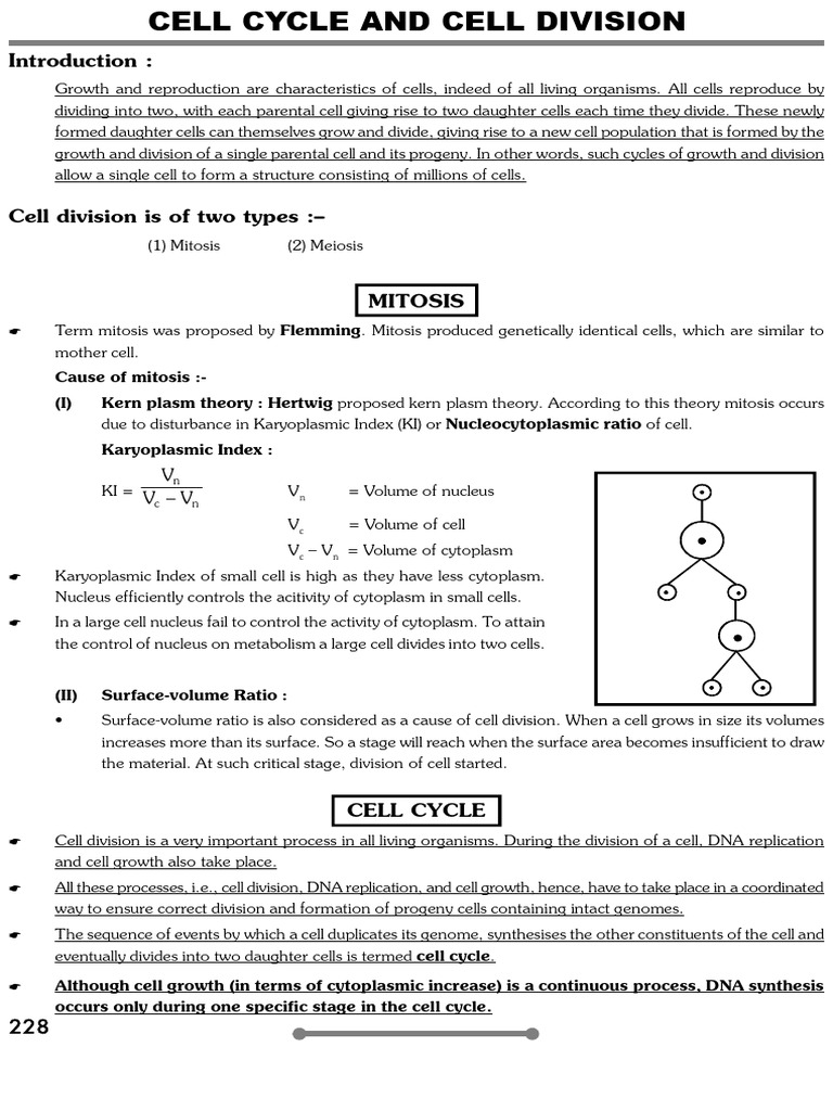 Cell Cycle and Division Explained | PDF | Meiosis | Mitosis