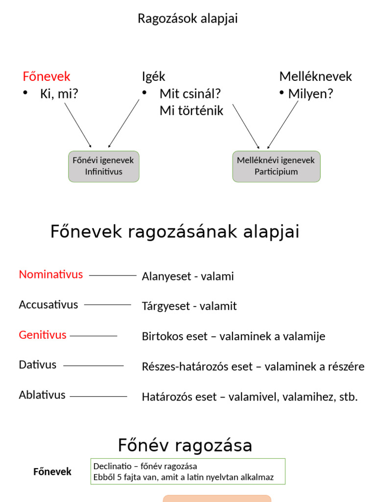 Declinatio | PDF