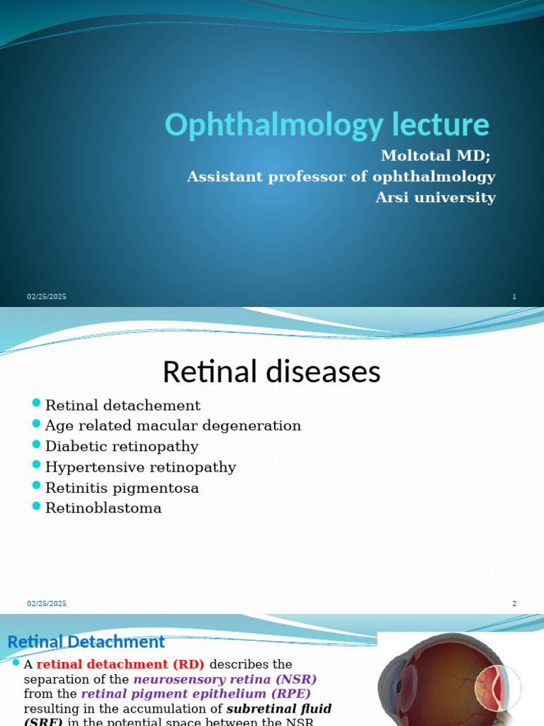 Retinal Diseases and Surgical Treatments | PDF | Retina | Ophthalmology