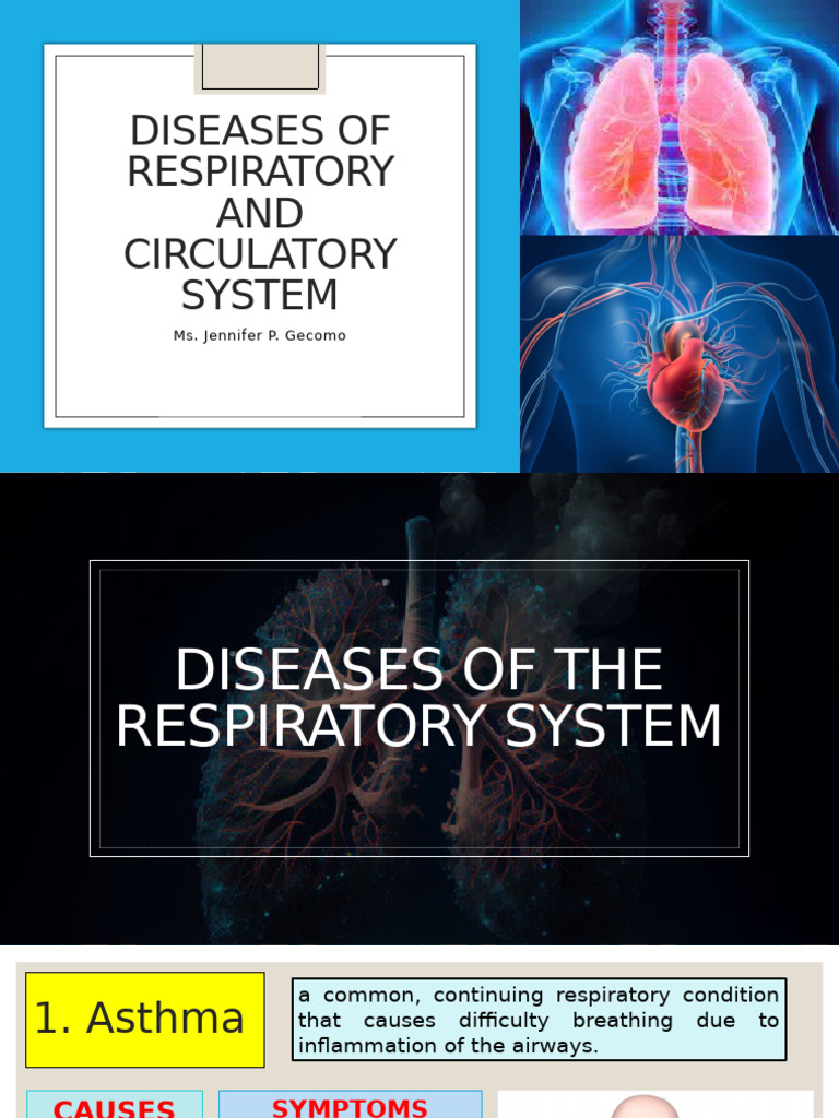 Effects of Lifestyle in The Function of Respiratory and Circulatory ...