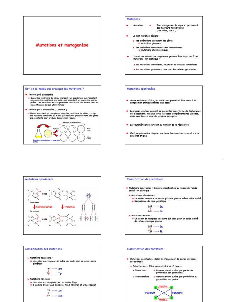 Comprendre les mutations et leur classification | PDF | Élément ...