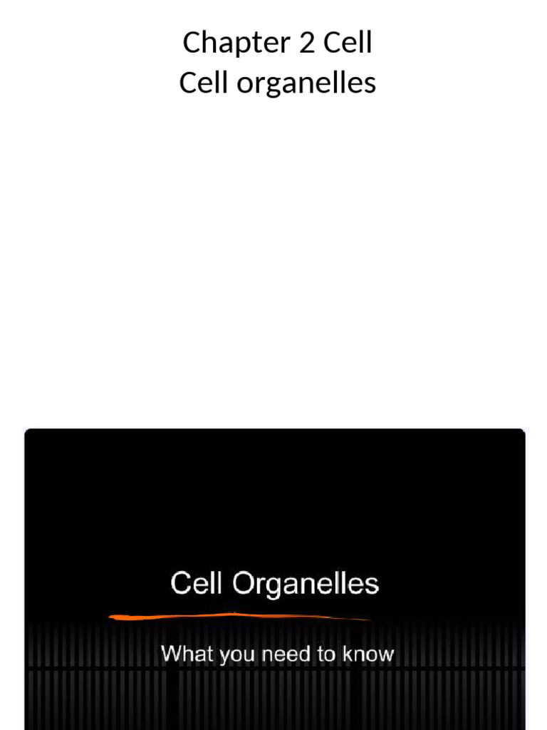 Chapter 2 Cells 2 | PDF | Chloroplast | Cell (Biology)