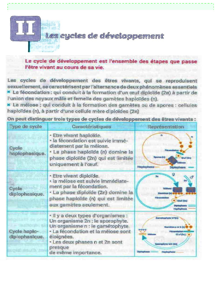 Cours en ligne SVT Benaboud | PDF