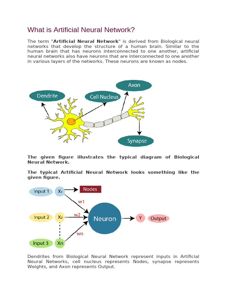 Comparing Neural Networks: Types & Functions | PDF | Neuron | Brain