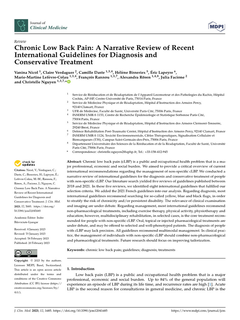 Chronic Low Back Pain A Narrative Review of Recent | PDF | Low Back ...