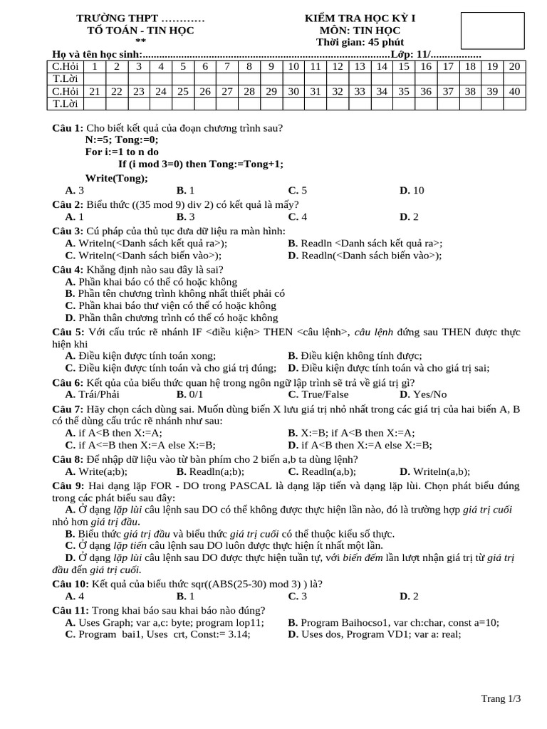 De Thi HK1 Tin 11 de 2 | PDF