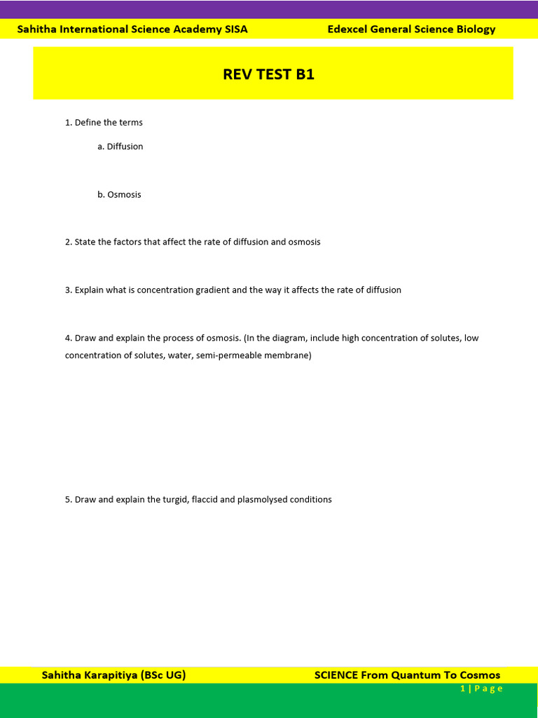 Rev Test B1 | PDF