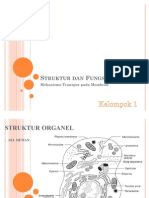 Struktur Dan Fungsi Sel