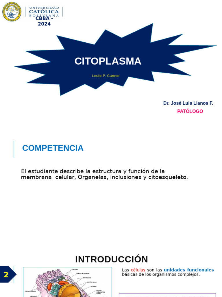 Estructura y Función del Citoplasma | PDF | Membrana celular | Membrana ...