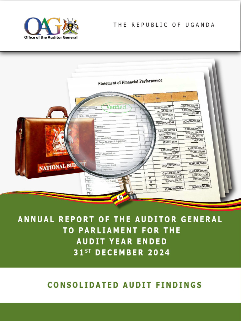 Oag Report 2024 Pdf Going Concern Audit