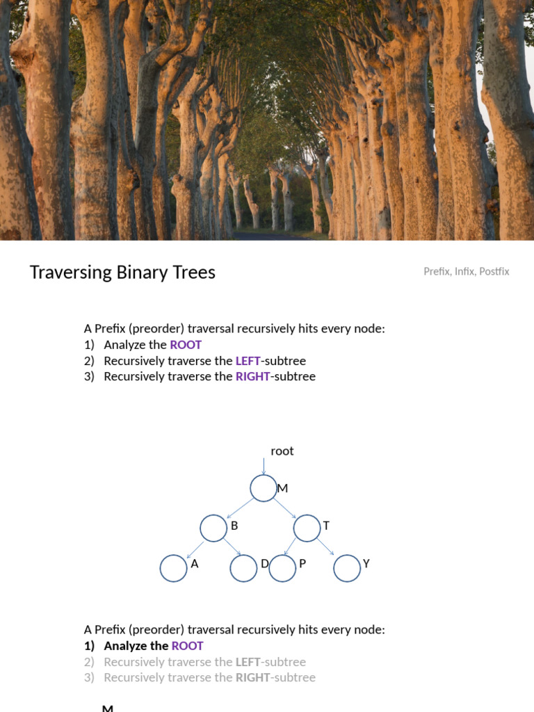Binary Tree Traversal Methods Explained | PDF | Recursion | Control Flow