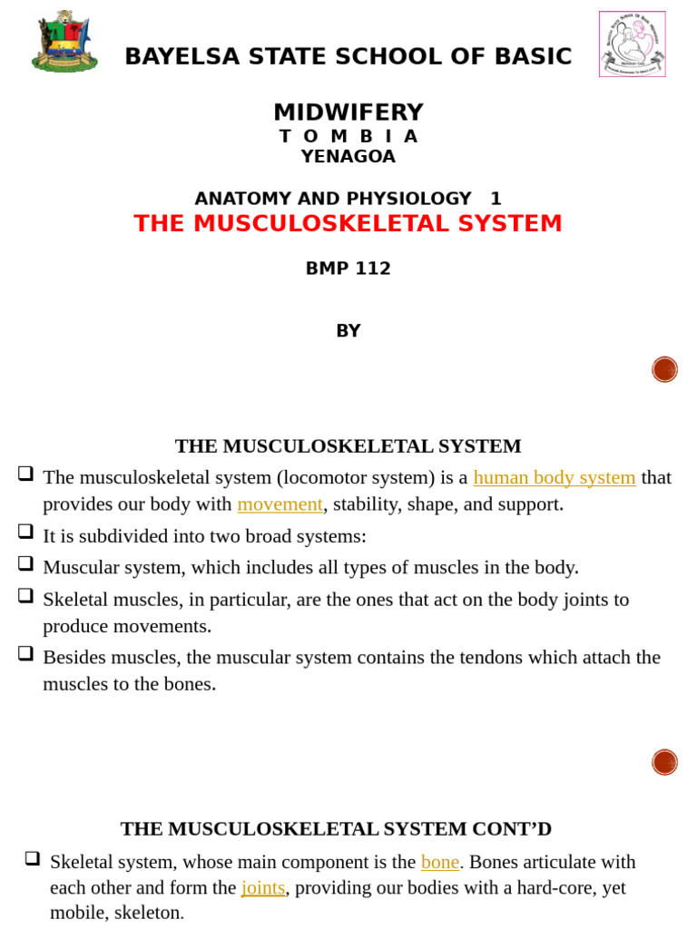 Musculoskeletal System Overview | PDF | Bone | Human Musculoskeletal System