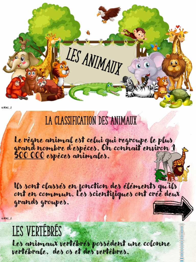 Classification et reproduction des animaux | PDF | Fécondation | Femelle