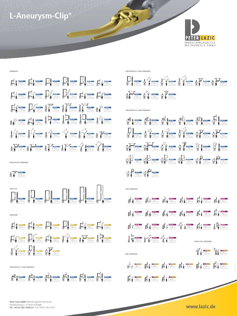 Peter Lazic L CLIPS | PDF