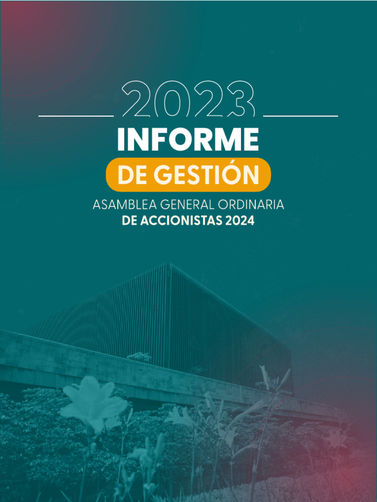 Informe de Gestion 2023 | PDF | Auditoría | Estado financiero