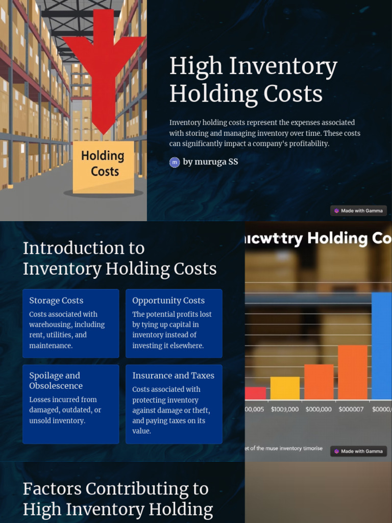Managing High Inventory Holding Costs | PDF | Inventory | Warehouse