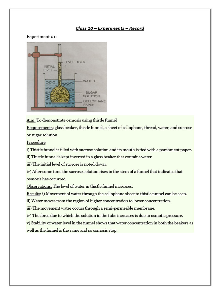 Class 10-Record-Experients | PDF | Osmosis | Plants