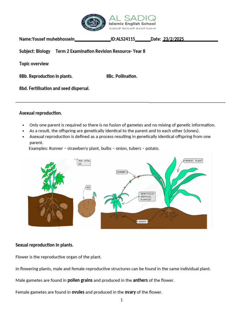 Year 8 Biology: Plant Reproduction Guide | PDF | Flowers | Pollination
