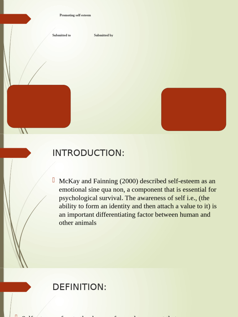 Understanding Self-Esteem Components | PDF | Self Esteem | Self Concept