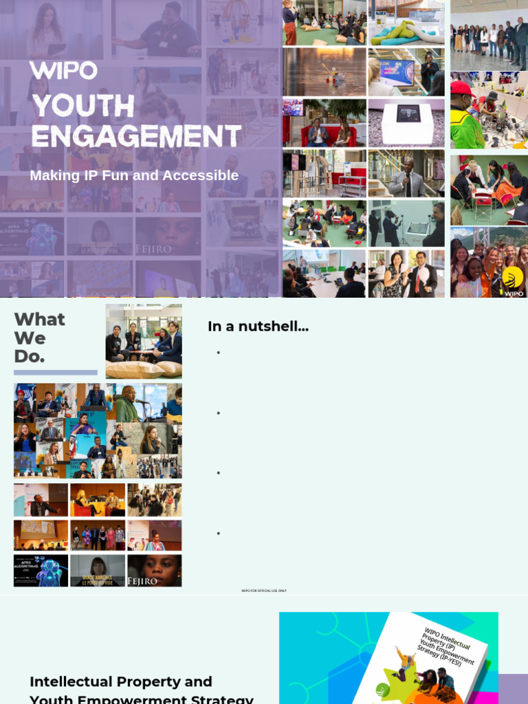 Youth Engagement in Intellectual Property | PDF | World Intellectual ...
