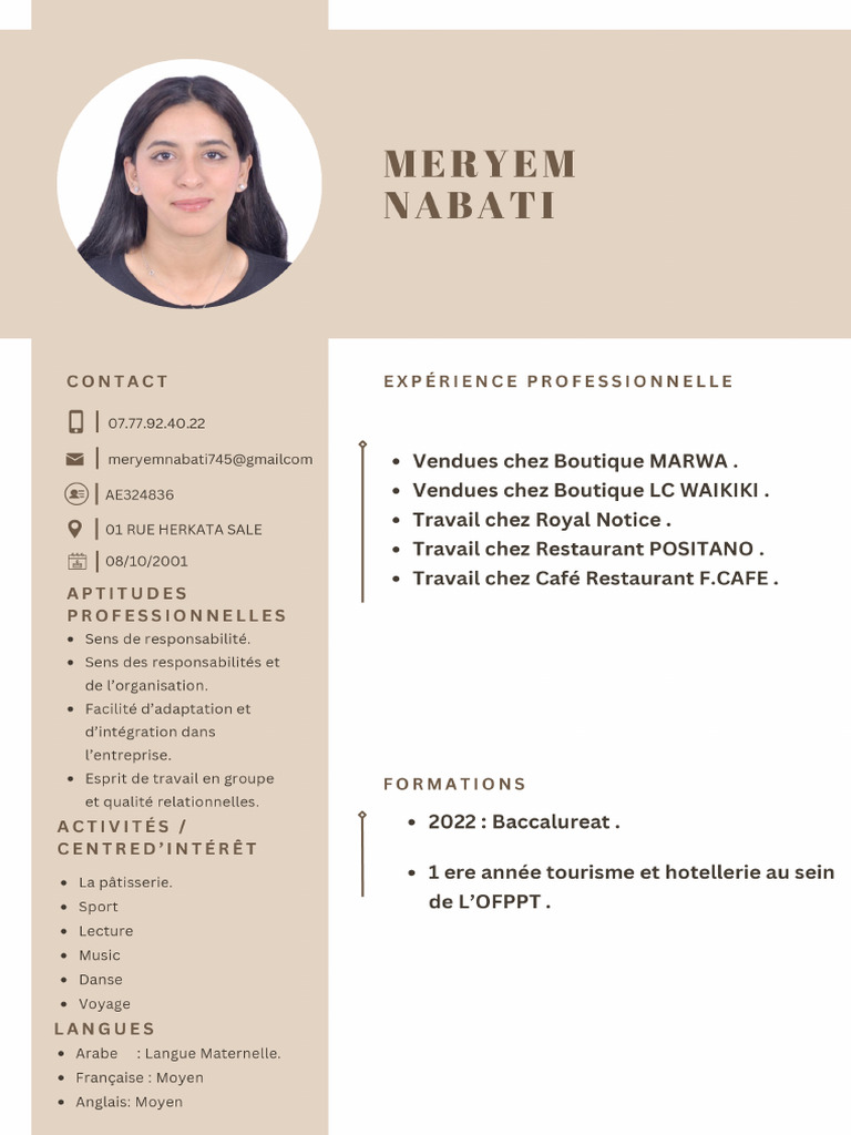 CV Français Professionnel Marron Simple | PDF