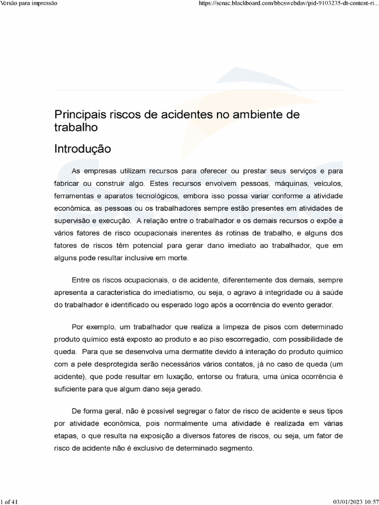 10 - Principais Riscos No Ambiente de Trabalho | PDF