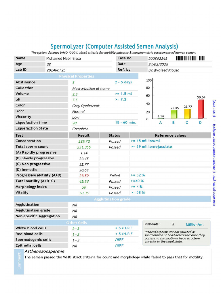 Report | PDF