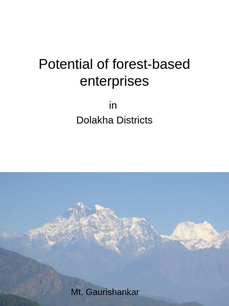 Potential of Forest-Based Enterprises | PDF | Plywood | Wood
