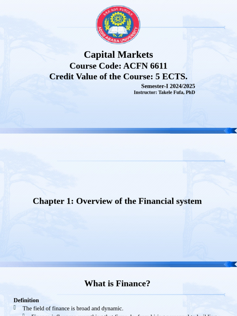 Overview of Capital Markets and Finance | PDF | Financial Markets ...