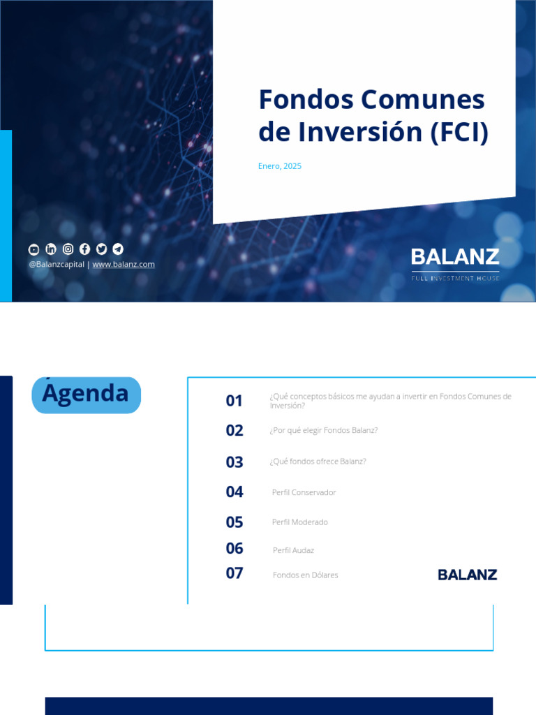 Fondos Comunes de Inversión (FCI) : Enero, 2025 | PDF | Portafolio ...